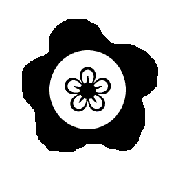 Source Image